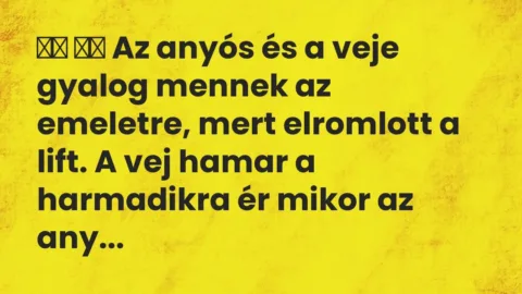 Viccek: 
		  
		  Az anyós és a veje gyalog mennek az emeletre, mert…
