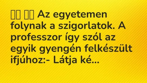 Viccek: 
		  
		  Az egyetemen folynak a szigorlatok. A professzor így szól a…