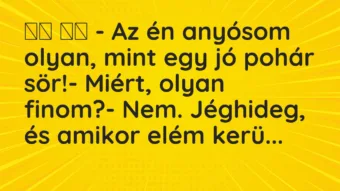 Viccek: – Az én anyósom olyan, mint egy jó pohár sör!- Miért,…