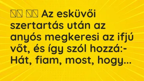 Viccek: 
		  
		  Az esküvői szertartás után az anyós megkeresi az ifjú vőt, …
