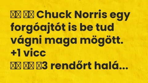 Viccek: 
		  
		  Chuck Norris egy forgóajtót is be tud vágni maga…