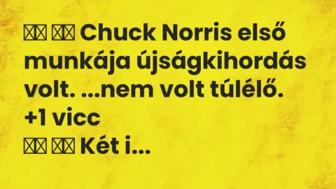 Viccek: 
		  
		  Chuck Norris első munkája újságkihordás volt. …nem volt…