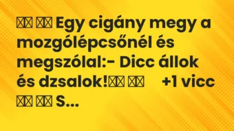 Viccek: Egy cigány megy a mozgólépcsőnél és megszólal:- Dicc…