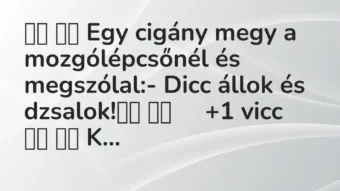 Viccek: Egy cigány megy a mozgólépcsőnél és megszólal:- Dicc…