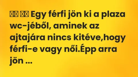 Viccek: 
		  
		  Egy férfi jön ki a plaza wc-jéből, aminek az ajtajára nincs…