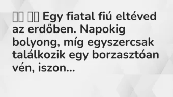 Viccek: Egy fiatal fiú eltéved az erdőben. Napokig bolyong, míg egy…