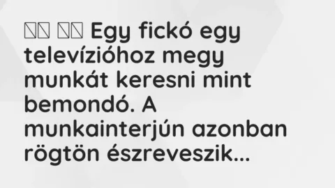 Viccek: 
		  
		  Egy fickó egy televízióhoz megy munkát keresni mint…