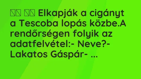 Viccek: 
		  
		  Elkapják a cigányt a Tescoba lopás közbe.A rendőrségen …