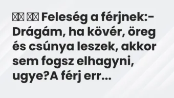 Viccek: Feleség a férjnek:- Drágám, ha kövér, öreg és csúnya…