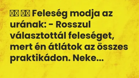 Viccek: 
		  
		  Feleség modja az urának: – Rosszul választottál…