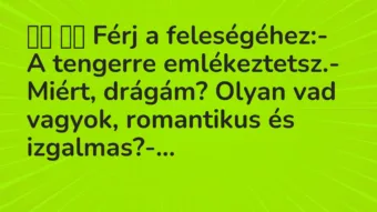 Viccek: Férj a feleségéhez:- A tengerre emlékeztetsz.-…