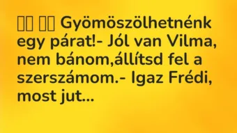 Viccek: Gyömöszölhetnénk egy párat!- Jól van Vilma, nem…