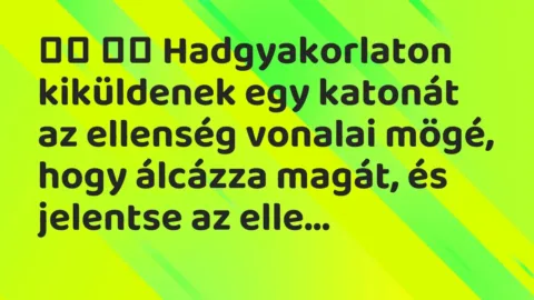 Viccek: 
		  
		  Hadgyakorlaton kiküldenek egy katonát az ellenség vonalai…