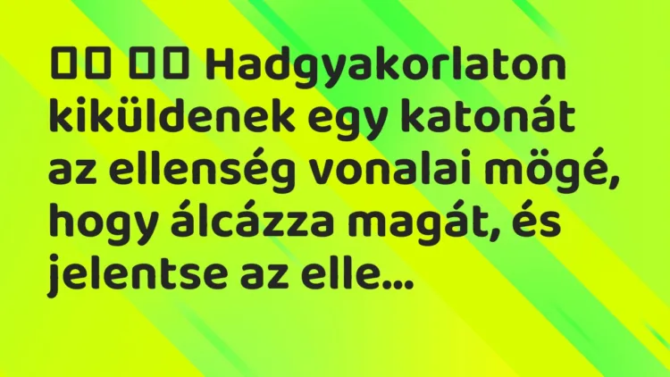 Viccek: Hadgyakorlaton kiküldenek egy katonát az ellenség vonalai…