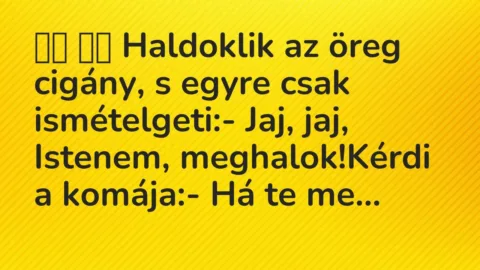 Viccek: 
		  
		  Haldoklik az öreg cigány, s egyre csak ismételgeti:-…