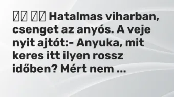 Viccek: Hatalmas viharban, csenget az anyós. A veje nyit…
