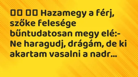 Viccek: 
		  
		  Hazamegy a férj, szőke felesége bűntudatosan megy elé:-…