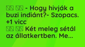 Viccek: – Hogy hivják a buzi indiánt?- Szopacs. …