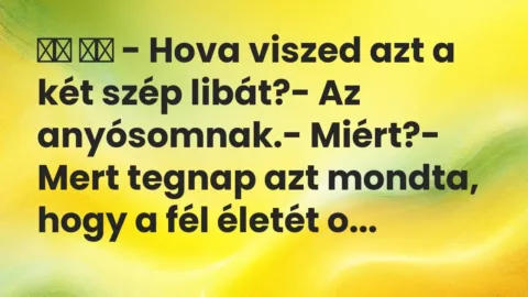 Viccek: 
		  
		  – Hova viszed azt a két szép libát?- Az…