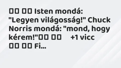 Viccek: 
		  
		  Isten mondá: „Legyen világosság!” Chuck Norris mondá:…