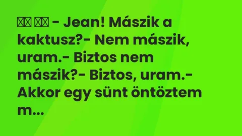 Viccek: 
		  
		  – Jean! Mászik a kaktusz?- Nem mászik, uram.-…
