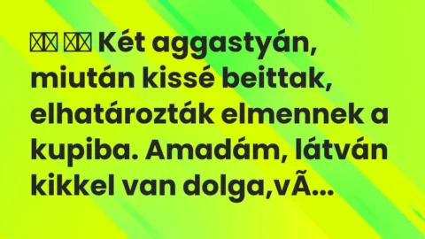 Viccek: 
		  
		  Két aggastyán, miután kissé beittak, elhatározták elmennek …