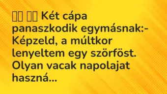 Viccek: Két cápa panaszkodik egymásnak:- Képzeld, a múltkor…