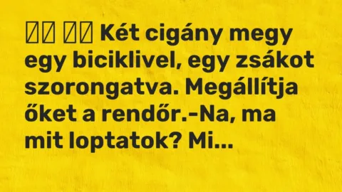 Viccek: 
		  
		  Két cigány megy egy biciklivel, egy zsákot szorongatva….