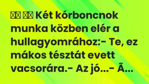 Viccek: 
		  
		  Két kórboncnok munka közben elér a hullagyomrához:-…