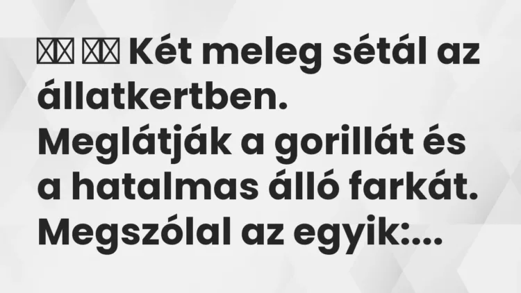 Viccek:
Két meleg sétál az állatkertben. Meglátják a gorillát és a … Viccek:
Két meleg sétál az állatkertben. Meglátják a gorillát és a …