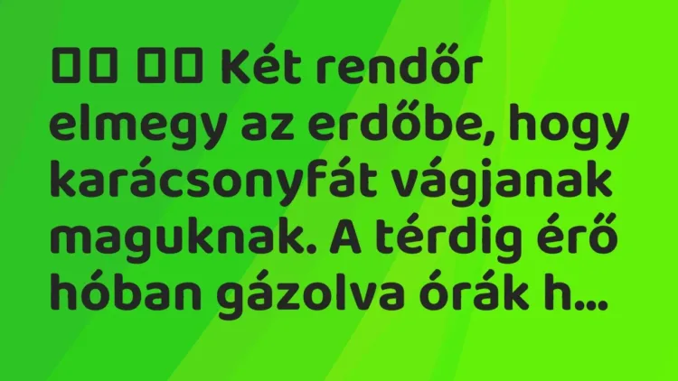 Viccek:
Két rendőr elmegy az erdőbe, hogy karácsonyfát vágjanak… Viccek:
Két rendőr elmegy az erdőbe, hogy karácsonyfát vágjanak…