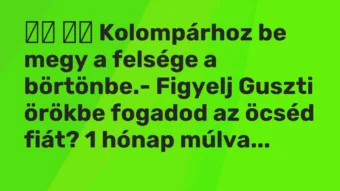 Viccek: Kolompárhoz be megy a felsége a börtönbe.- Figyelj…