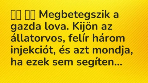 Viccek: 
		  
		  Megbetegszik a gazda lova. Kijön az állatorvos, felír három…