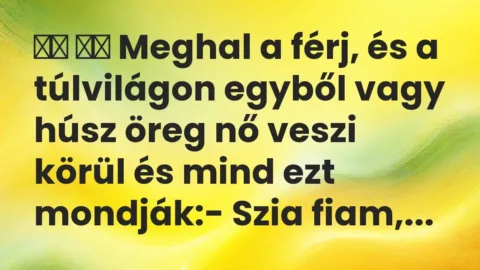 Viccek: 
		  
		  Meghal a férj, és a túlvilágon egyből vagy húsz öreg nő…