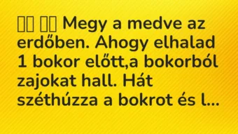 Viccek: 
		  
		  Megy a medve az erdőben. Ahogy elhalad 1 bokor előtt,a…