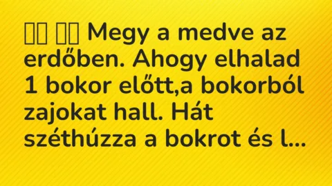 Viccek:
Megy a medve az erdőben. Ahogy elhalad 1 bokor előtt,a… Viccek:
Megy a medve az erdőben. Ahogy elhalad 1 bokor előtt,a…