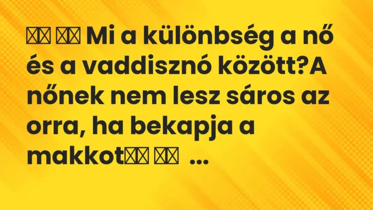 Viccek:
Mi a különbség a nő és a vaddisznó között?A nőnek nem… Viccek:
Mi a különbség a nő és a vaddisznó között?A nőnek nem…