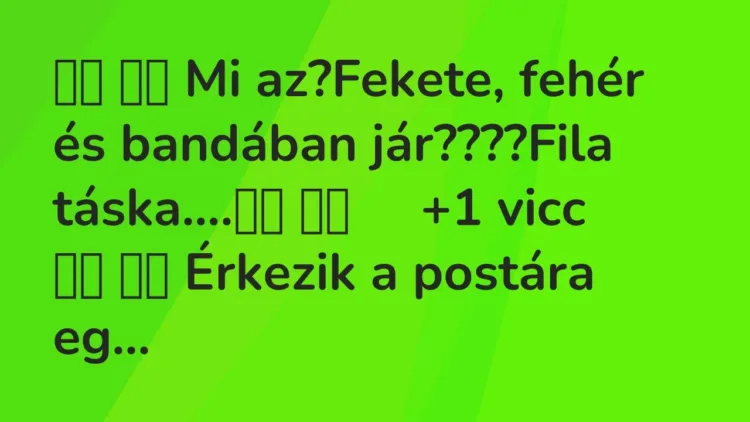 Viccek:
Mi az?Fekete, fehér és bandában jár????Fila… Viccek:
Mi az?Fekete, fehér és bandában jár????Fila…