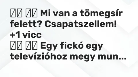 Viccek: 
		  
		  Mi van a tömegsír felett? Csapatszellem!		 …