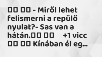 Viccek: 
		  
		  – Miről lehet felismerni a repülő nyulat?- Sas van a…