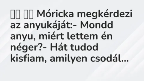 Viccek: 
		  
		  Móricka megkérdezi az anyukáját:- Mondd anyu, miért…