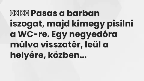 Viccek: 
		  
		  Pasas a barban iszogat, majd kimegy pisilni a WC-re. Egy…
