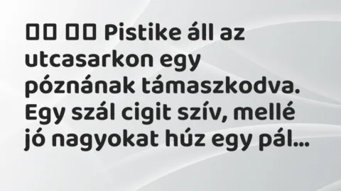 Viccek: 
		  
		  Pistike áll az utcasarkon egy póznának támaszkodva. Egy…