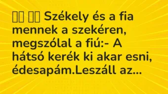 Viccek: 
		  
		  Székely és a fia mennek a szekéren, megszólal a fiú:- A…
