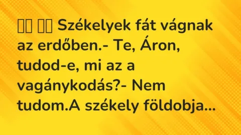 Viccek: 
		  
		  Székelyek fát vágnak az erdőben.- Te, Áron, tudod-e, mi…