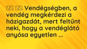 Viccek: Vendégségben, a vendég megkérdezi a házigazdát, mert…