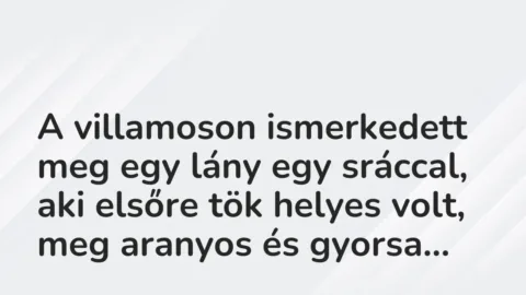 Vicces történet: 
	    	    


A villamoson ismerkedett meg egy lány egy…