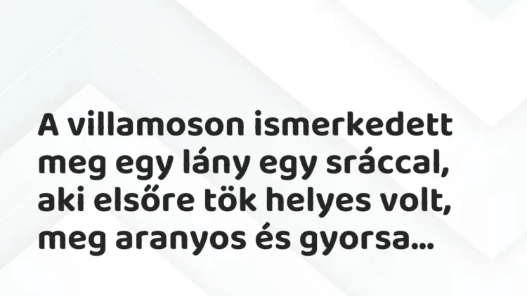 Vicces történet:
A villamoson ismerkedett meg egy lány egy… Vicces történet:
A villamoson ismerkedett meg egy lány egy…
