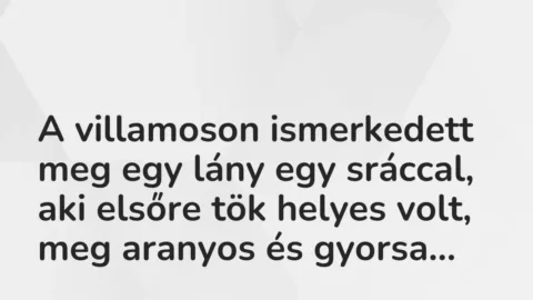 Vicces történet: 
	    	    


A villamoson ismerkedett meg egy lány egy…