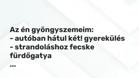 Vicces történet: 
	    	    


Az én gyöngyszemeim:


– autóban hátul két!…